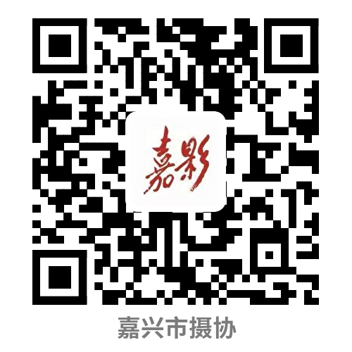 嘉兴美术馆