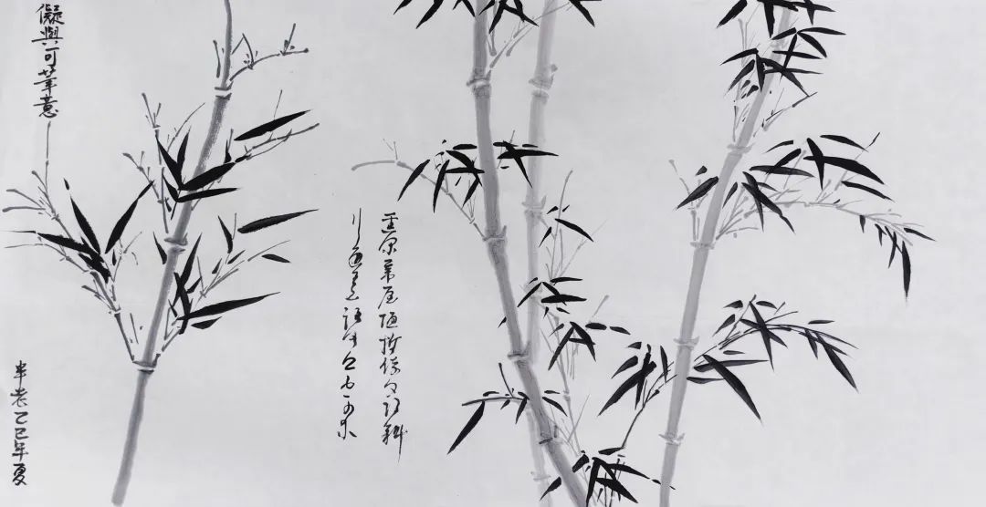 1756948372750033.jpg 640 (7).jpg